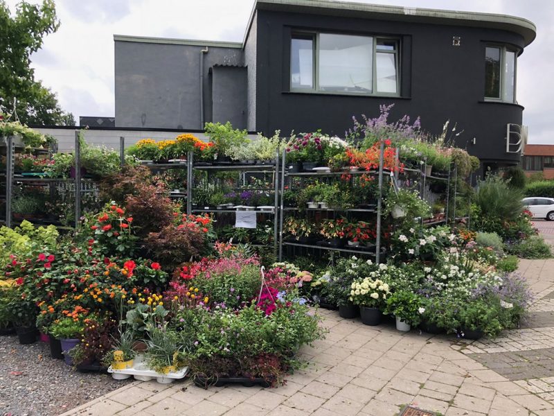 Bloom Brasschaat BV